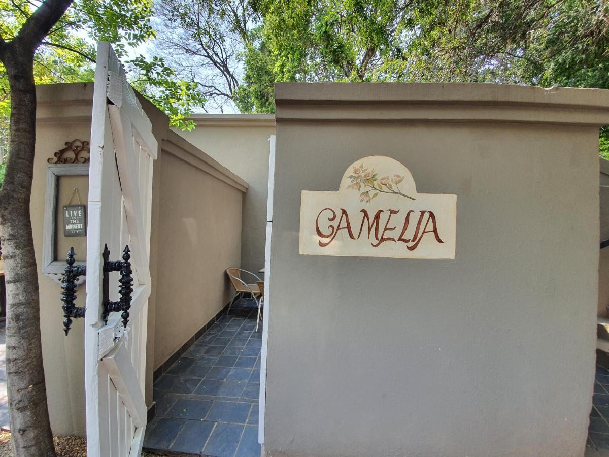 Waterhouse Guest Lodge In Muckleneuk Pretoria Bilik gambar